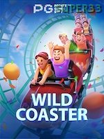 Wild Coaster game cover